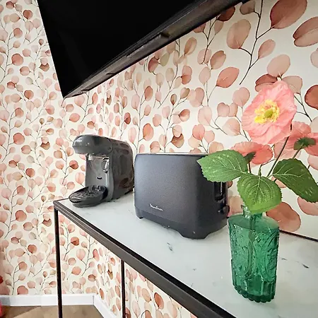 Balnéo Privée Wifi Fibre Chic&détente Romantique * Tourcoing